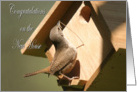 New Home House Wren bird at birdhouse card