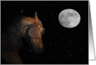 Reach for the Stars horse looks at the moon card