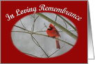 In Loving Remembrance cardinal on winter day card