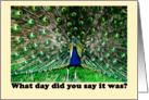 Anniversary peacock humor card