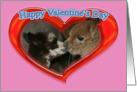 Happy Valentine’s Day heart alpaca card