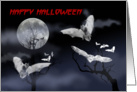 Happy Halloween night card