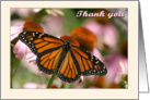 Thank you butterfly card