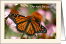 Do not be sad sympathy butterfly card