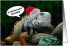 Christmas bah humbug iguana card