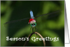 Season’s Greeting dragonfly card
