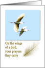 encouragement birds flying for Grandmother card