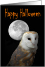 Happy Halloween party invitation owl card