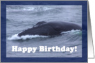 Happy Birthday humpback whale card