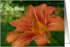 We’ve Moved orange day lily card
