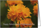 Happy Administrative Professionals Day coreopsis daisy card