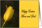 Happy Easter Mom and Dad tulip card