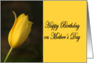 Happy Birthday Mother on Mother’s Day tulip card