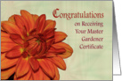 Congratulations Master Gardener orange dahlia card