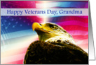 Happy Veterans Day Gramdma flag Bald Eagle card