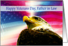 Happy Veterans Day Father in Law flag Bald Eagle card