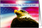 Happy Veterans Day Brother in Law flag Bald Eagle card