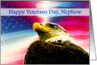 Happy Veterans Day Nephew flag Bald Eagle card