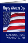 Happy Veterans Day waving flag card