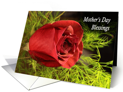 Mother's Day Blessings red rose card (1016829)