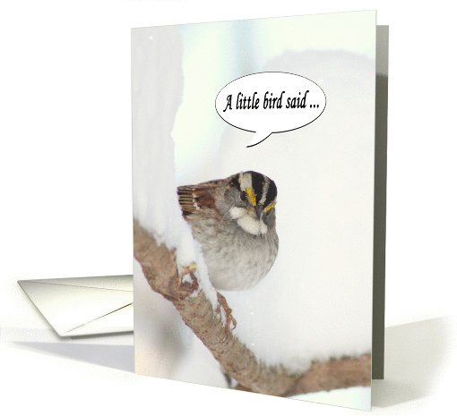 A Little Bird Said Happy Birthday winter snow card (1016879)