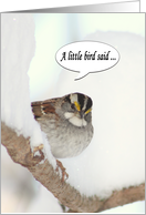 A Little Bird Said Happy Birthday winter snow card