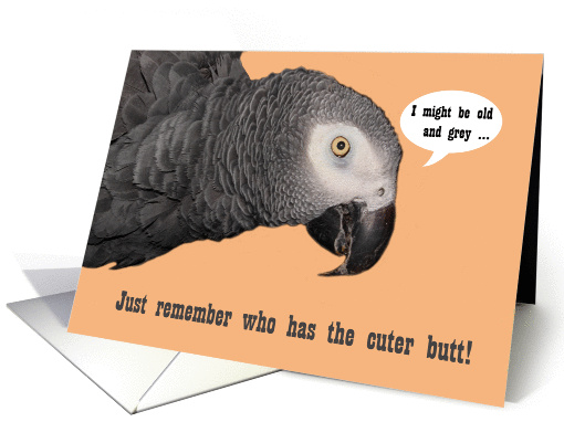 Happy Birthday funny humorous parrot card (1023389)