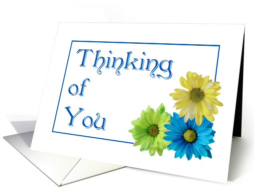 Thinking of You three daisies flower card (1042701)