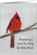 Remembering a Loved One During the Holiday Season red cardinal snow card