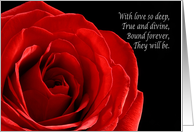 Elegant red rose...
