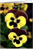 Thinking of You yellow and burgundy pansy flower card