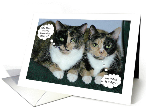Happy Mother's Day humorous cats card (450908)