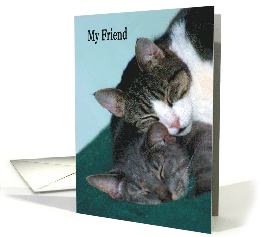 Thinking of You Friend two cats cuddling card (455951)