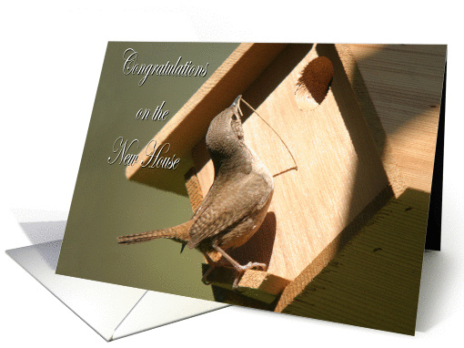 New Home House Wren bird at birdhouse card (455958)
