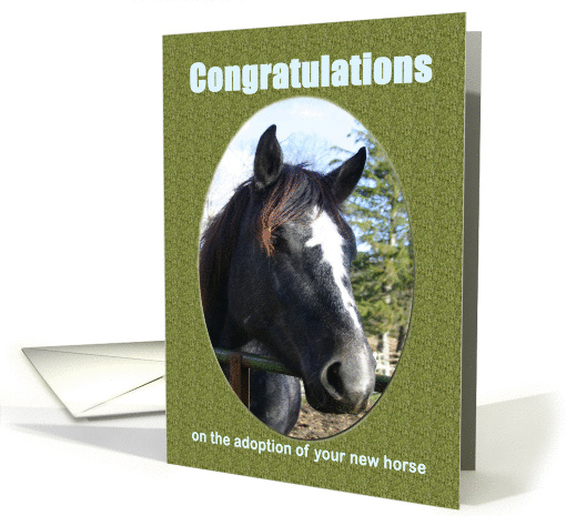 Congratuations Adopting Horse new pet card (456791)