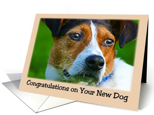 Congratulations on the New Dog card (459103)