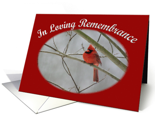 In Loving Remembrance cardinal on winter day card (520511)