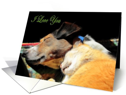 Sweetest Day card (701491)