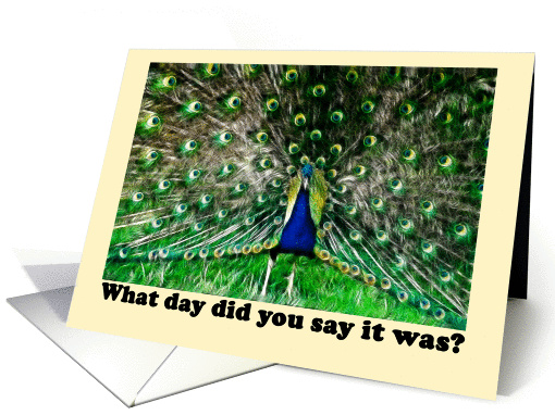 Anniversary peacock humor card (709949)
