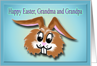Happy Easter rabbit...