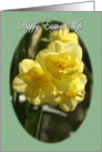 Happy Easter wife daffodils card