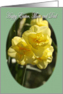 Happy Easter Mom and Dad daffodils card