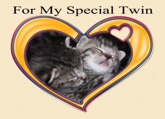 For My Special Twin...
