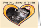 For My Special Twin kittens card