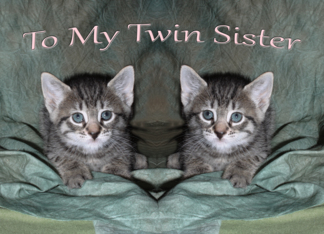 To My Twin Sister...