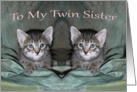 To My Twin Sister kittens card