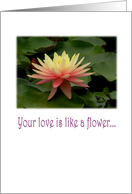 Mother in Law Day water lily card