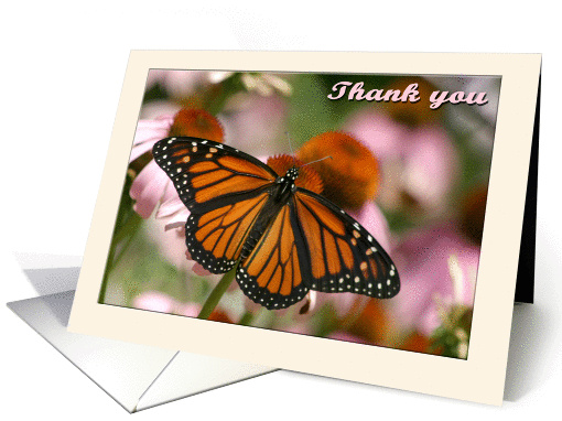 Thank you butterfly card (837485)