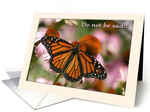 Do not be sad sympathy butterfly card (837513)