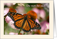 Do not be sad...